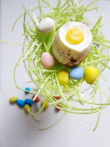 Chocolate Tiramisu Egg 4