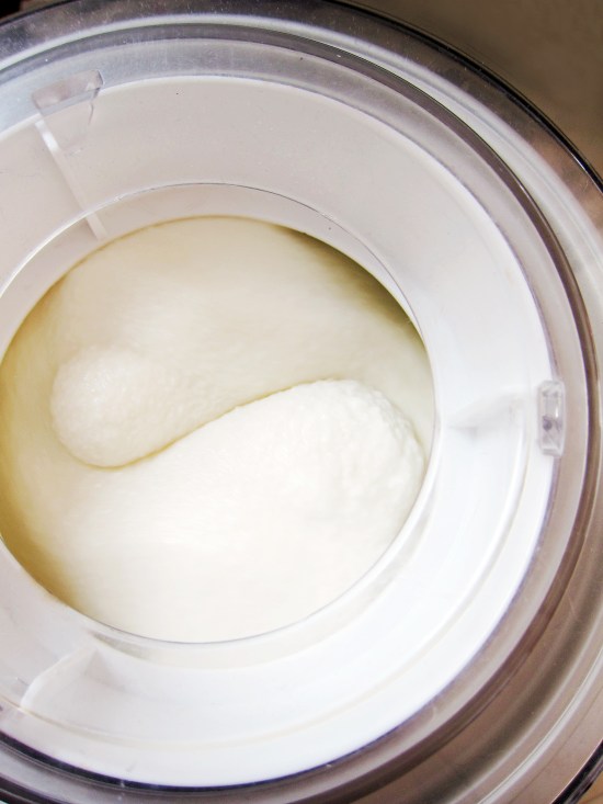 Pineapple Coconut Frozen Yogurt 1