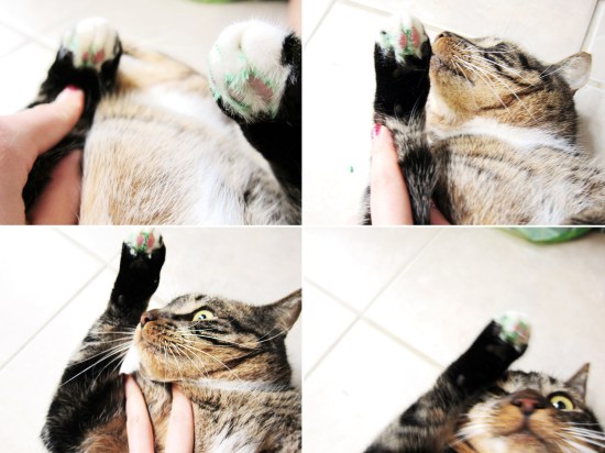 Christmas Wreath Macarons 5