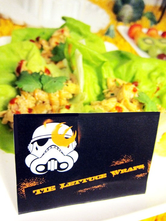 Star Wars Rebels Party 11