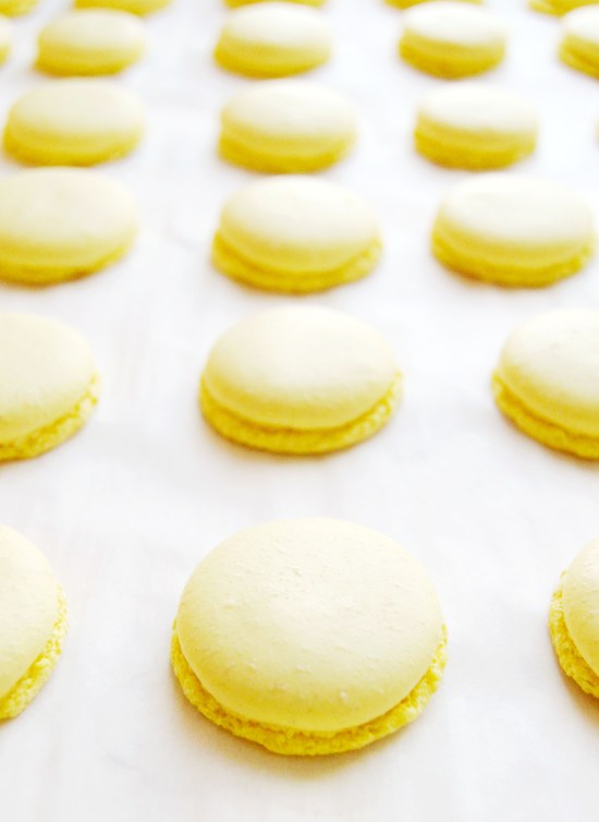 Lemon Basil Macarons 7