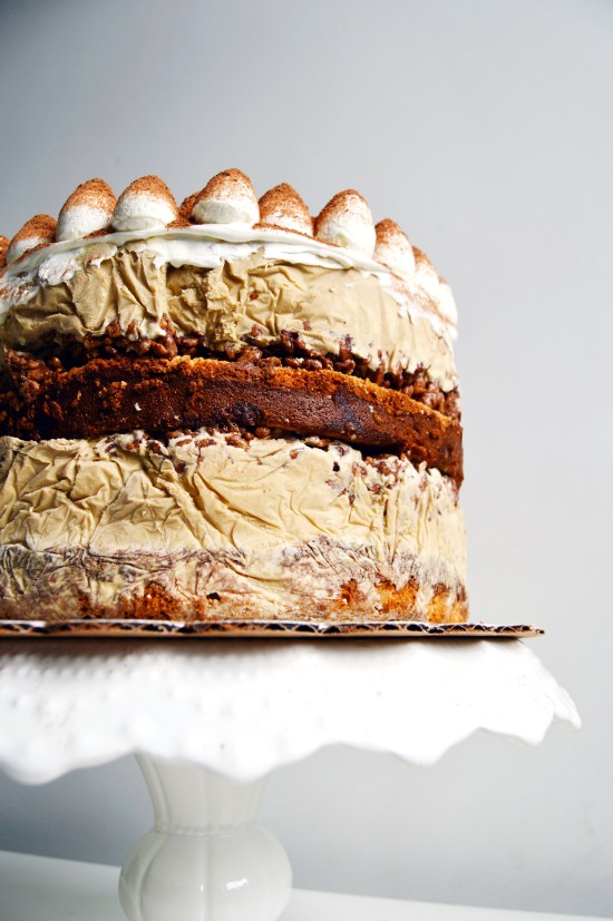 Tiramisu Ice Cream Cake 3