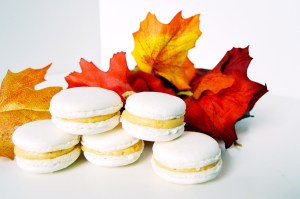 pumpkin cookie butter macarons