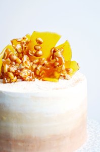 honey roasted peanut brittle