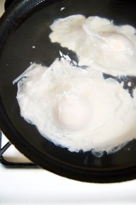 poached egg