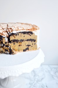 Giant Macaron Ice Cream Sandwich Cake